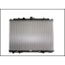 Radiator ( Radiator-Engine Cooling Water ) 