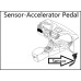 Accelerator ( Sensor-Accelerator Pedal ) 