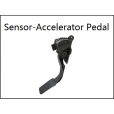 Accelerator ( Sensor-Accelerator Pedal ) 