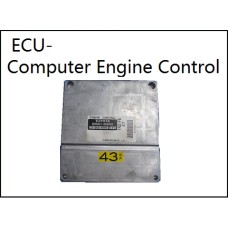 Sensor ( Computer Engine Control  ( ECU)   ) 